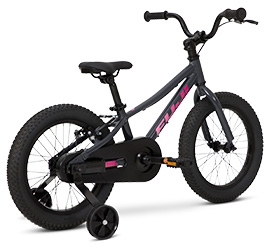Fuji Dynamite 16 Coaster Gray